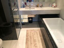 St. Regis Residences (D10), Apartment #460767101